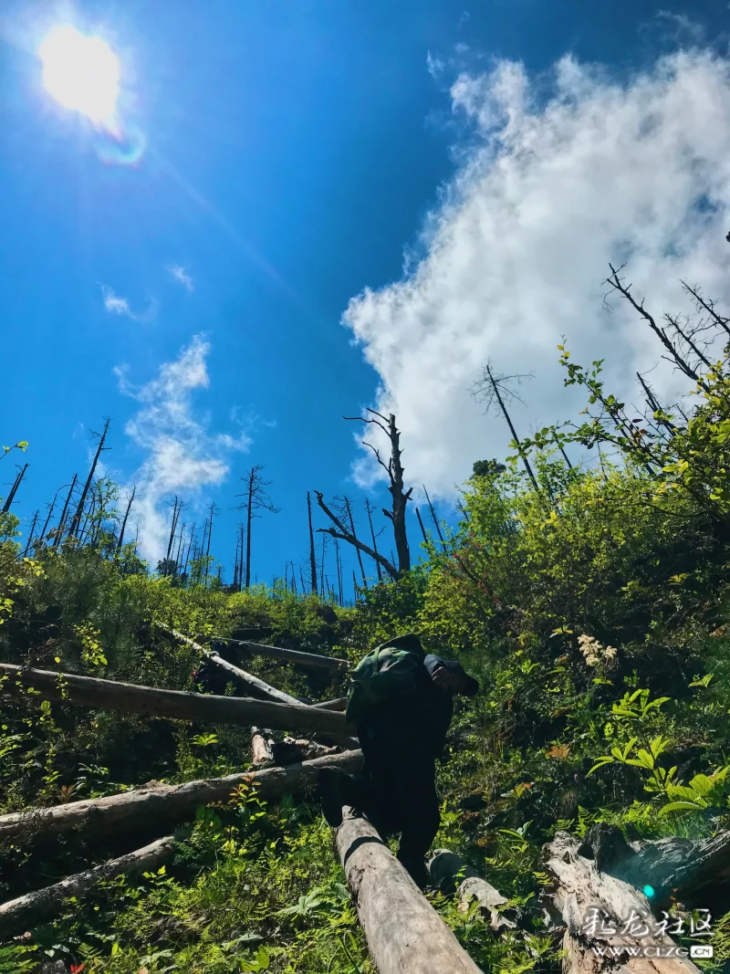 逢山开路遇水架桥