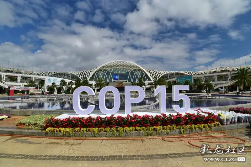cop15还有14天,滇池国际会展中心掠影