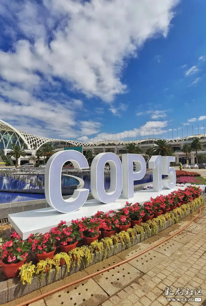 cop15还有14天,滇池国际会展中心掠影