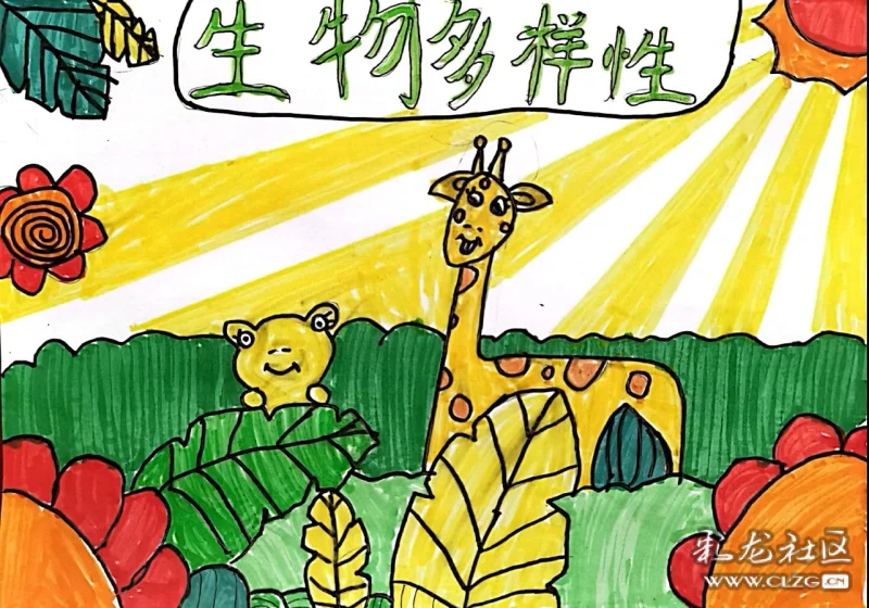 生物多样性