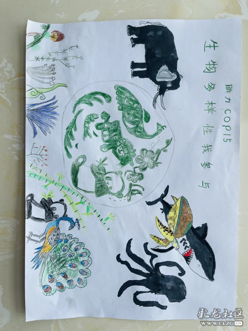 cop15生物多样性的绘画,cop15生物多样性素材 助力cop15生物多样性我参与