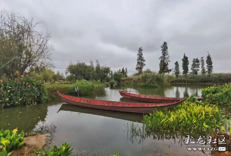 雨中漫步行绕湖赏秋色斗南湿地公园别样美