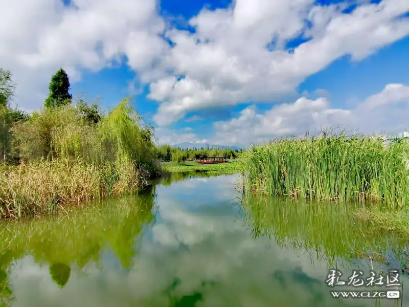 只见蓝天白云下的海丰湿地显得非常漂亮,绿树成荫,鸟语花香