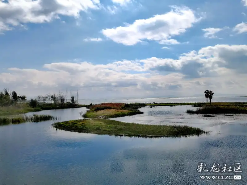 只见蓝天白云下的海丰湿地显得非常漂亮,绿树成荫,鸟语花香