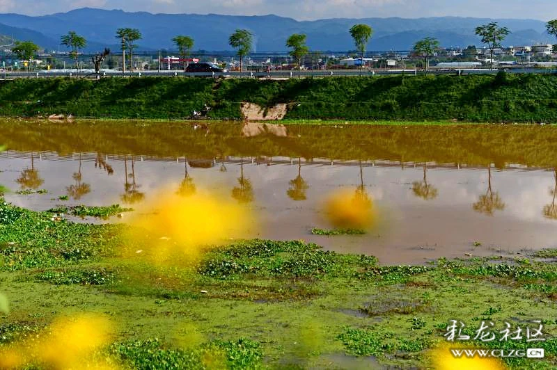 云南建水曲江大河风光