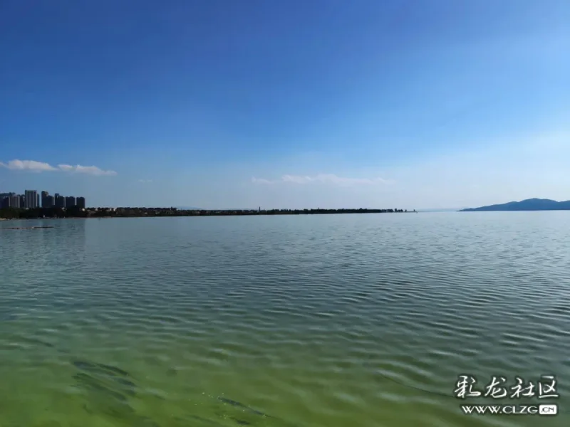 昆明海洪湿地冬天处处是美景