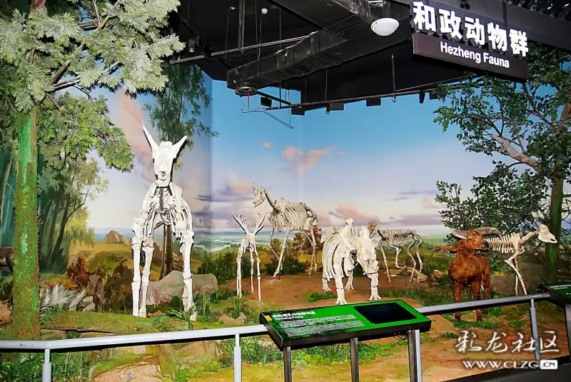 参观澄江化石地世界自然遗产博物馆云南省自然博物馆四