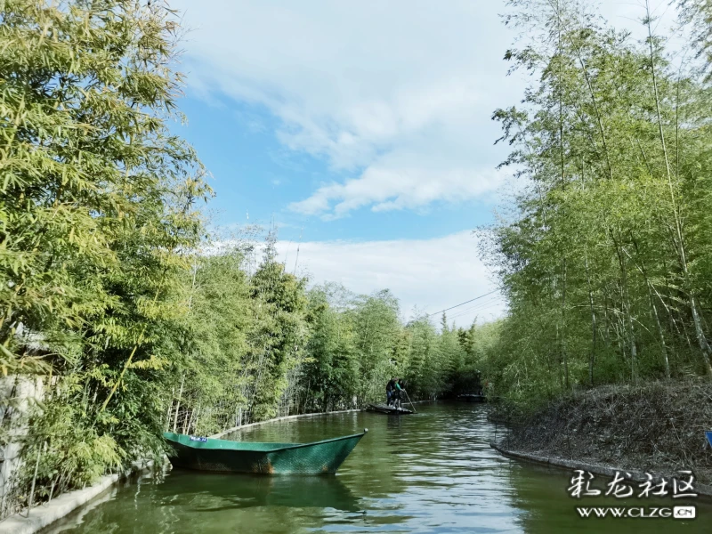 玲珑秀美的峨山竹海