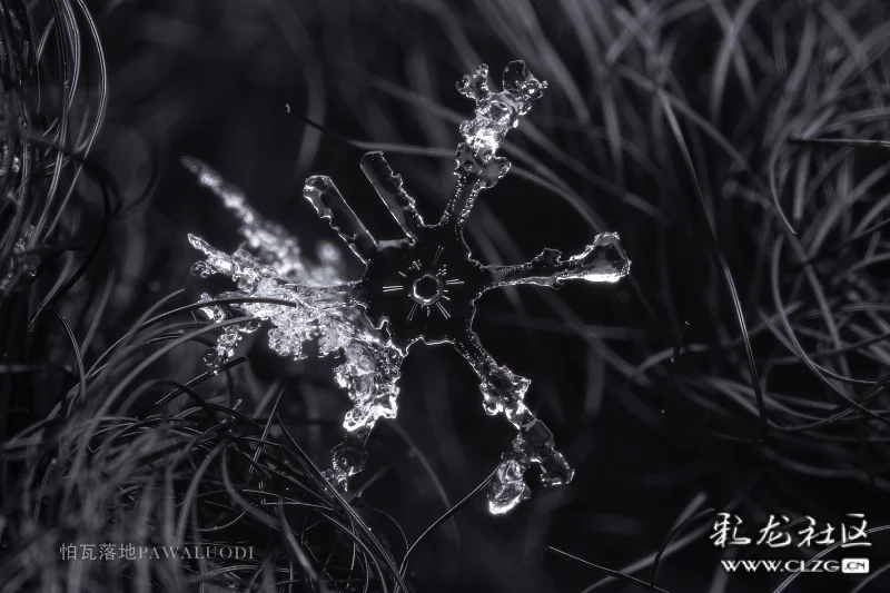 下雪时的景致美不胜收,赞叹的还是小巧玲珑的雪花图案.