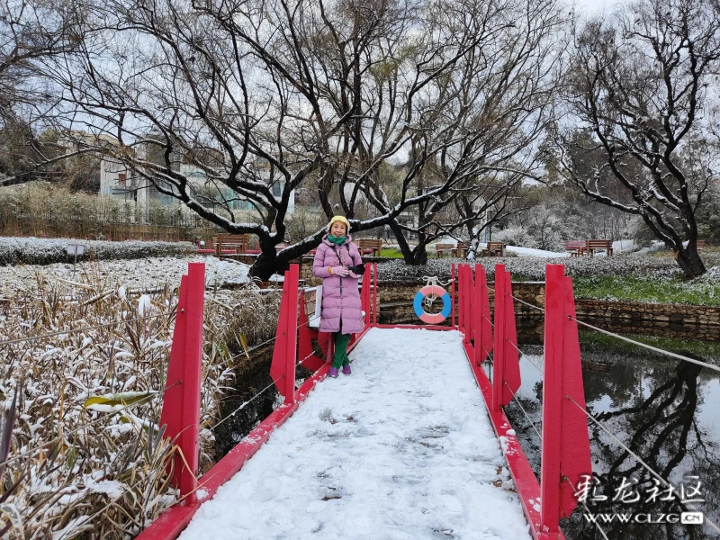 瑞雪兆丰年,虎年必吉祥-彩龙社区