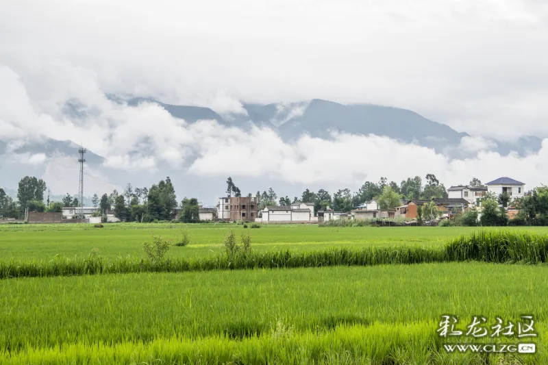 生态云南一只此青绿云岭大地