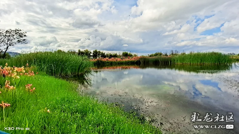 昆明草海隧道湿地公园已初具规模,种植有水杉,银杏,滇润楠,云南樱花