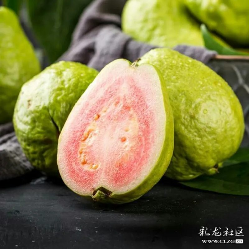 芭樂英文名叫guava,又稱番石榴,是一種適應性很強的熱帶果樹.