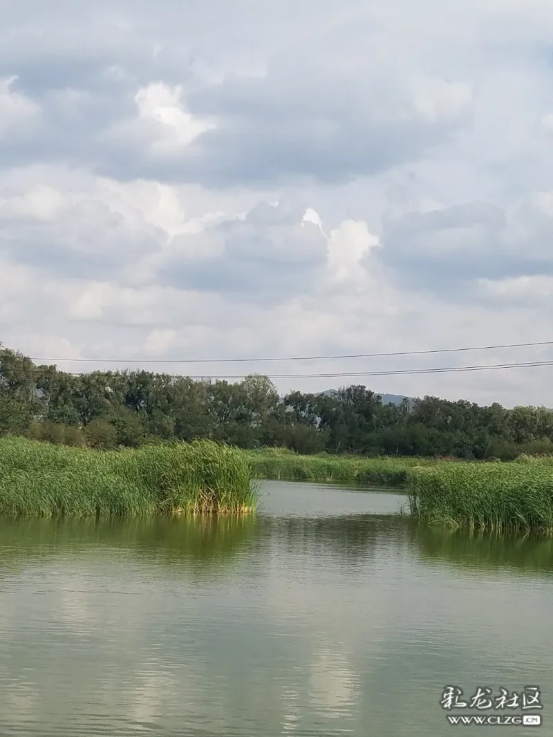 鹤飞鹭鸣不锈活力嘉丽泽湿地-彩龙社区
