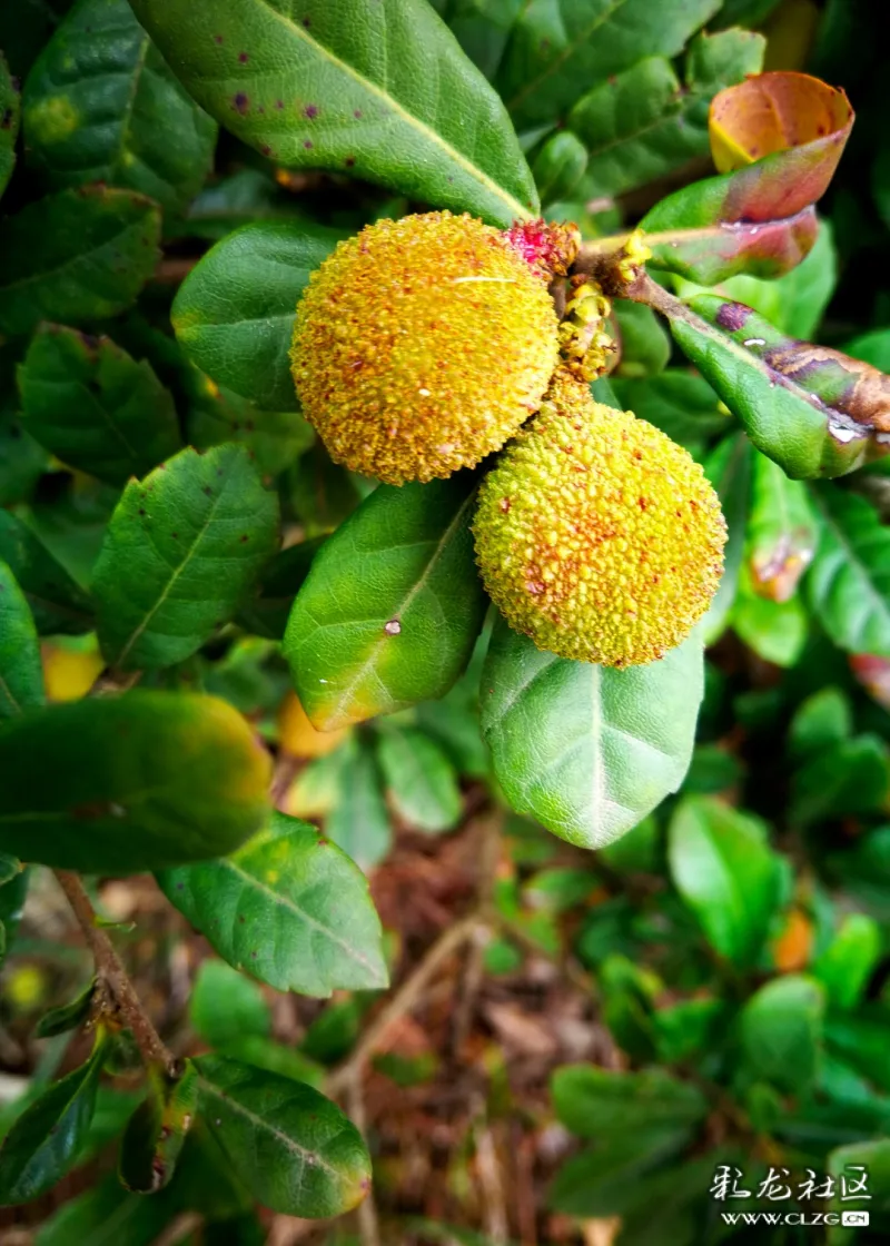 品人与自然合谐之美盘龙双龙外拍