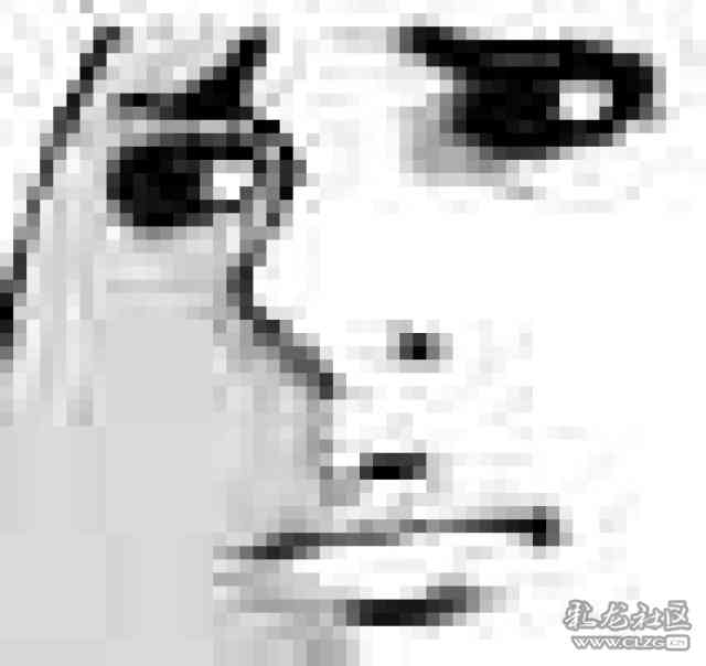 失控-分布式管理,蜂群思维