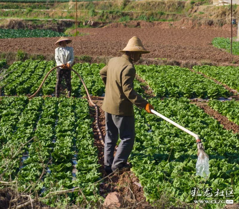 如果想感受田園風光,可以看看農民辛勤耕作的場景.