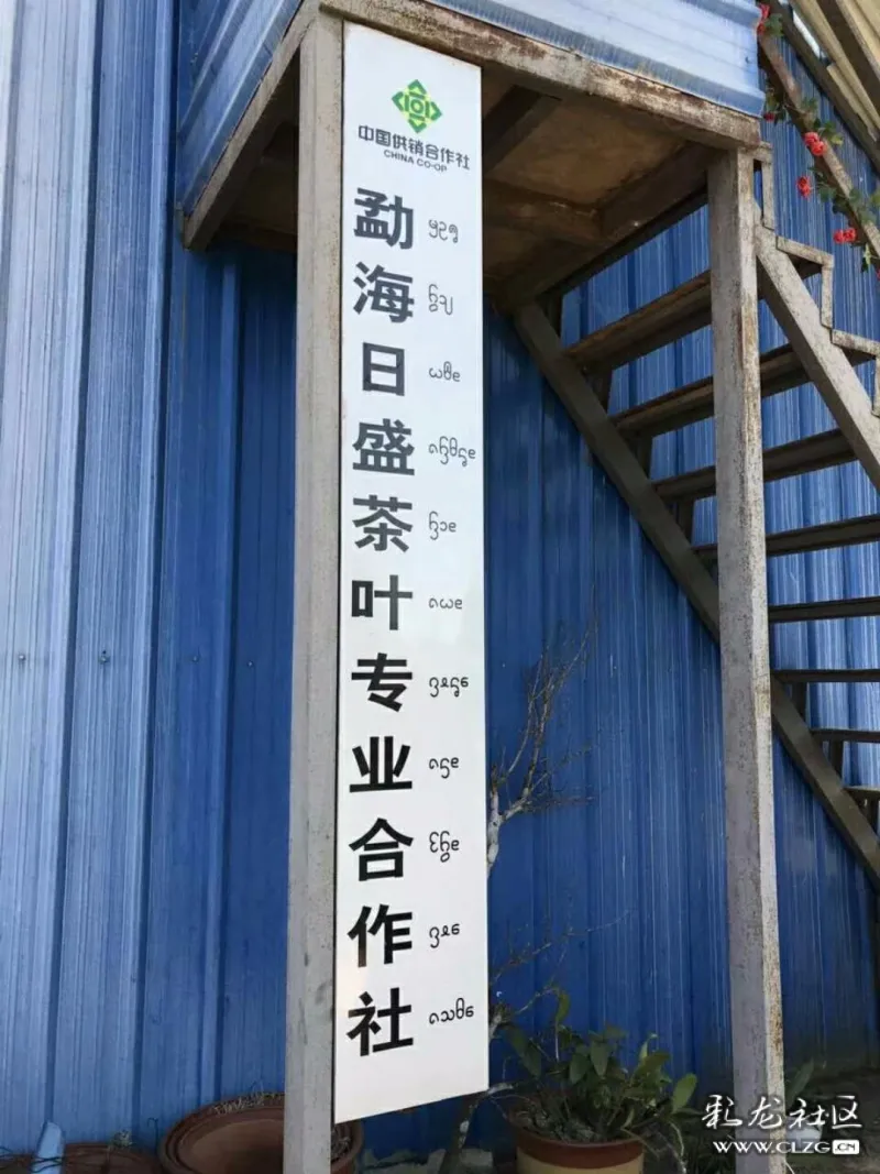 勐海善良茶叶专业相助

社的简单

先容
《云南善茶茶叶有限公司》