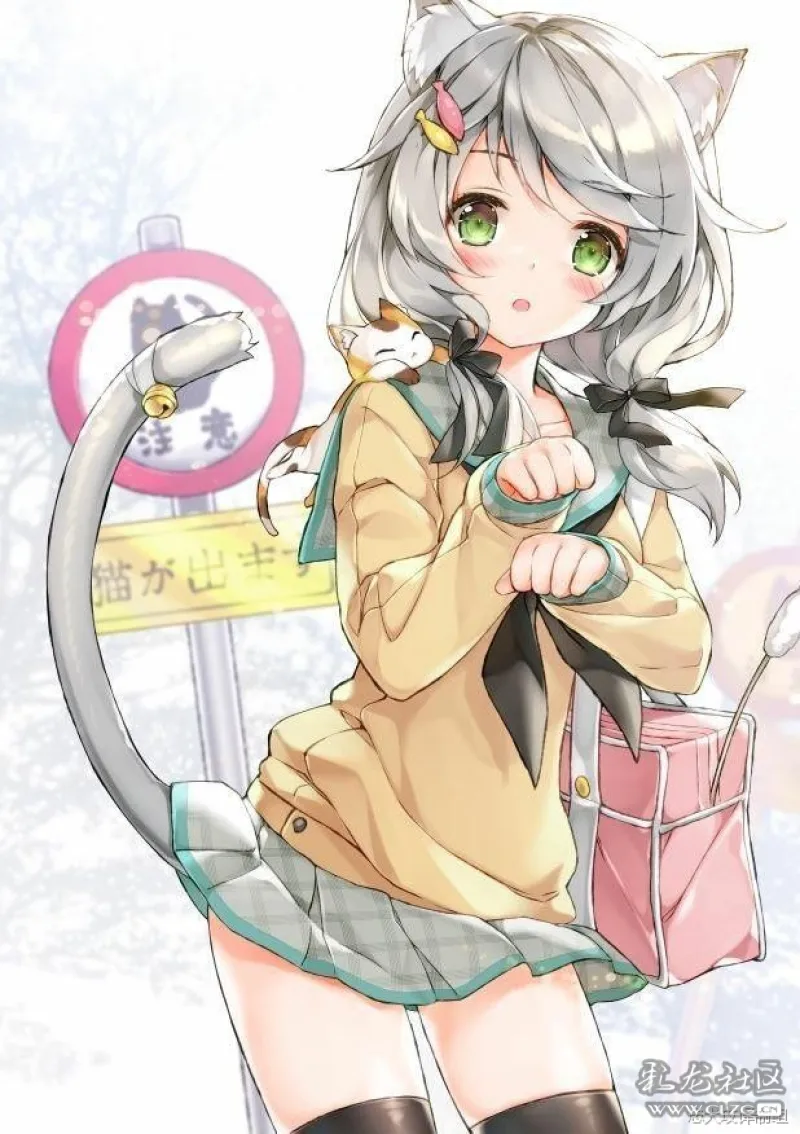 萌萌的猫耳可爱的喵娘