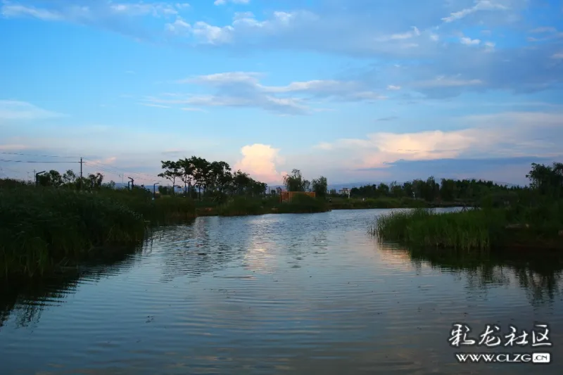 美丽的柳林沙滩