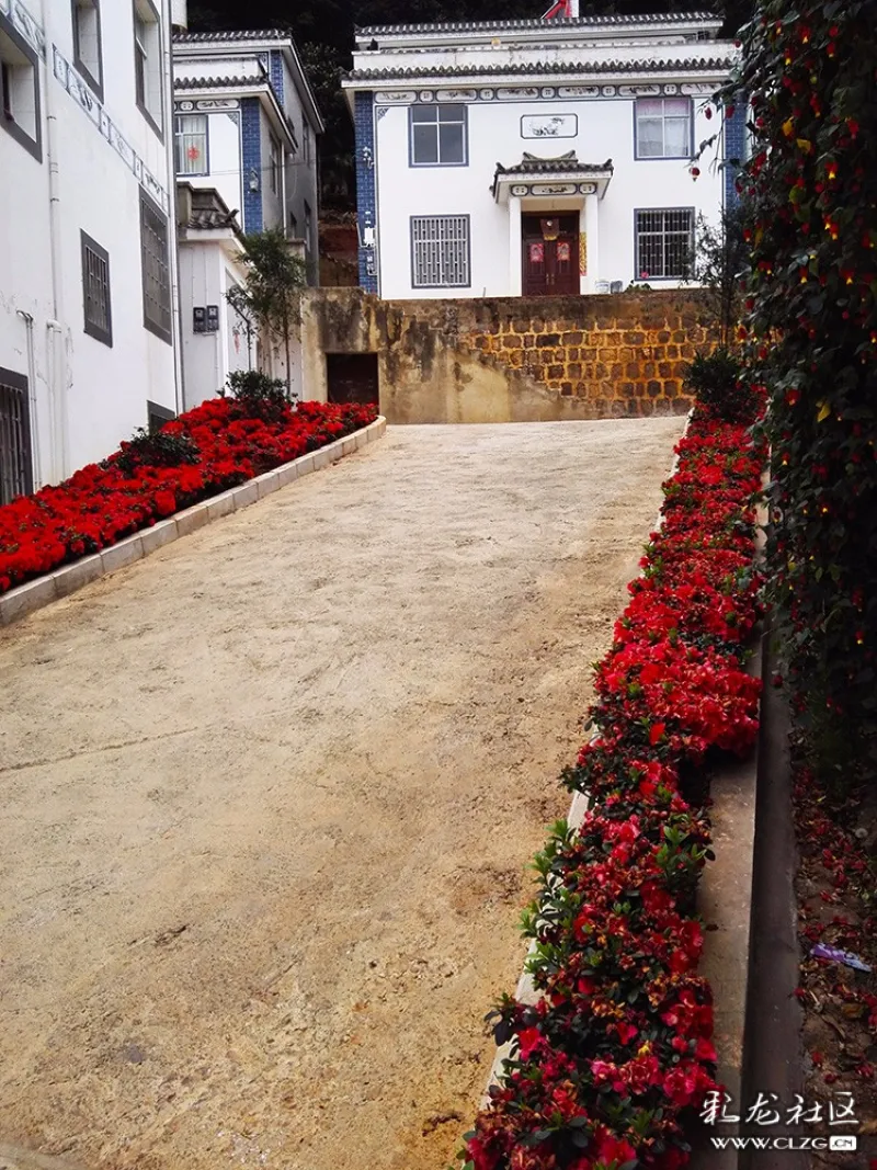 美丽乡村陡坡村