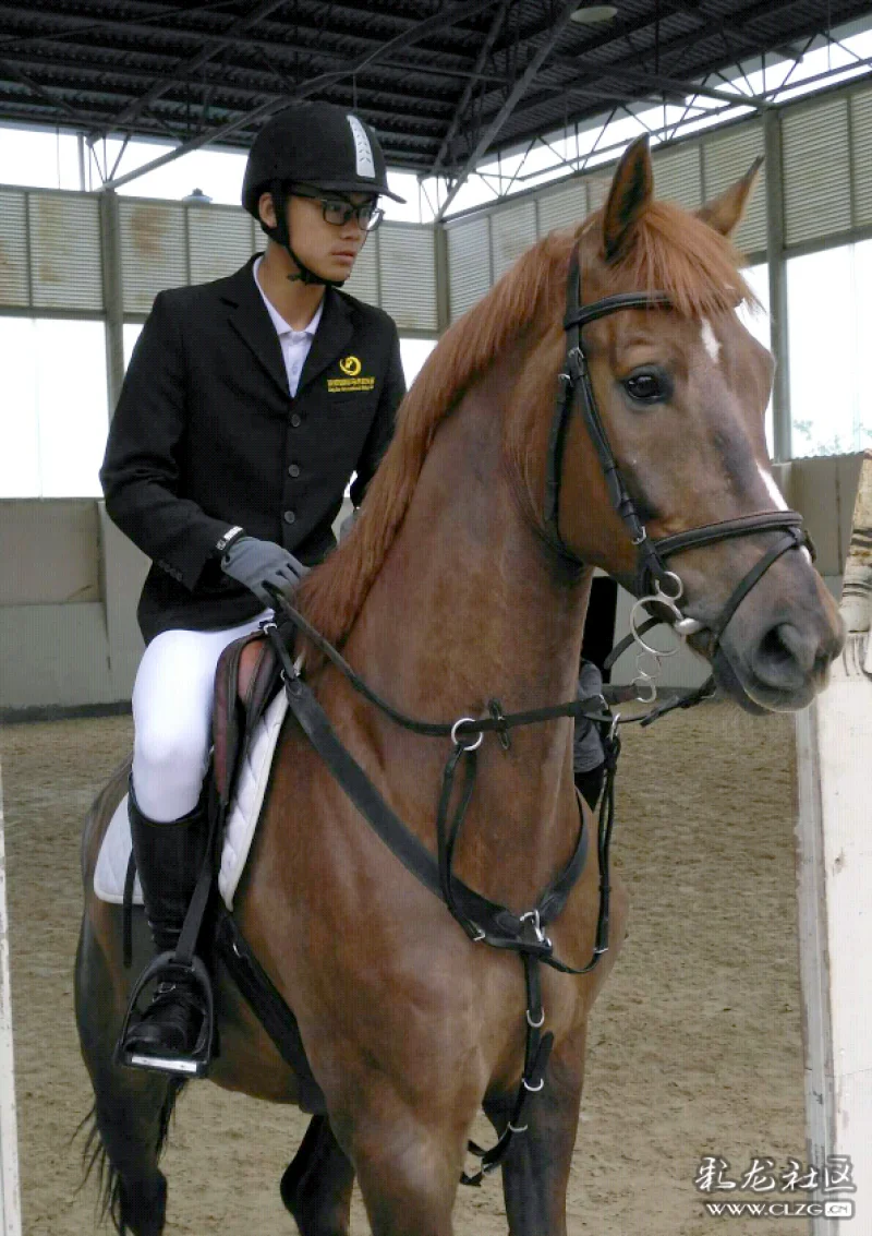 走,去盘龙区双龙麦地塘休闲游(一)马场