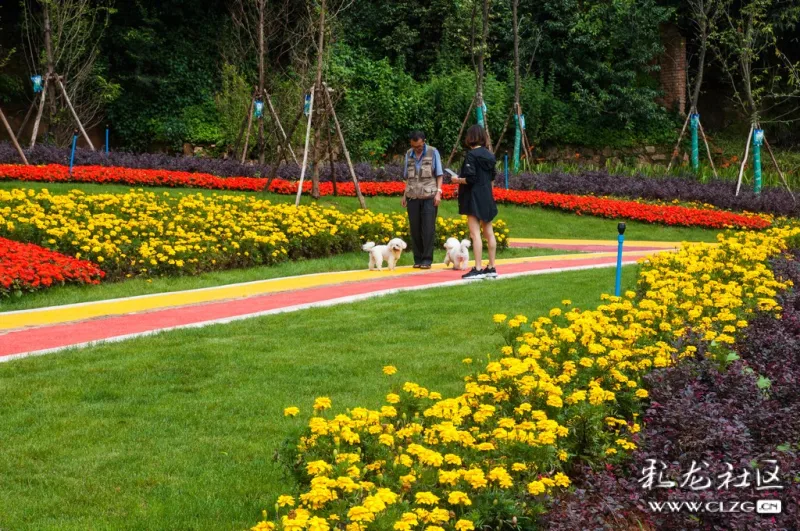 揭开景润公园的美丽面纱