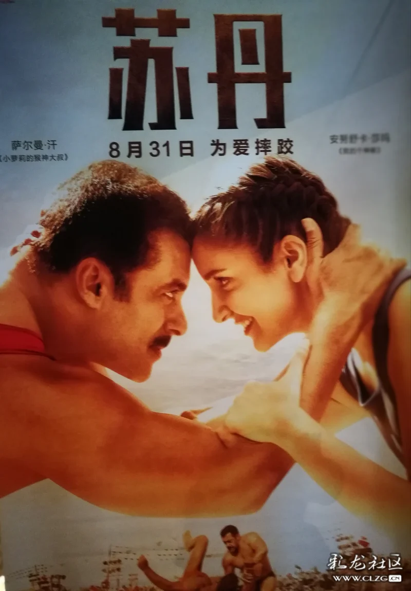 印度电影《苏丹》观后