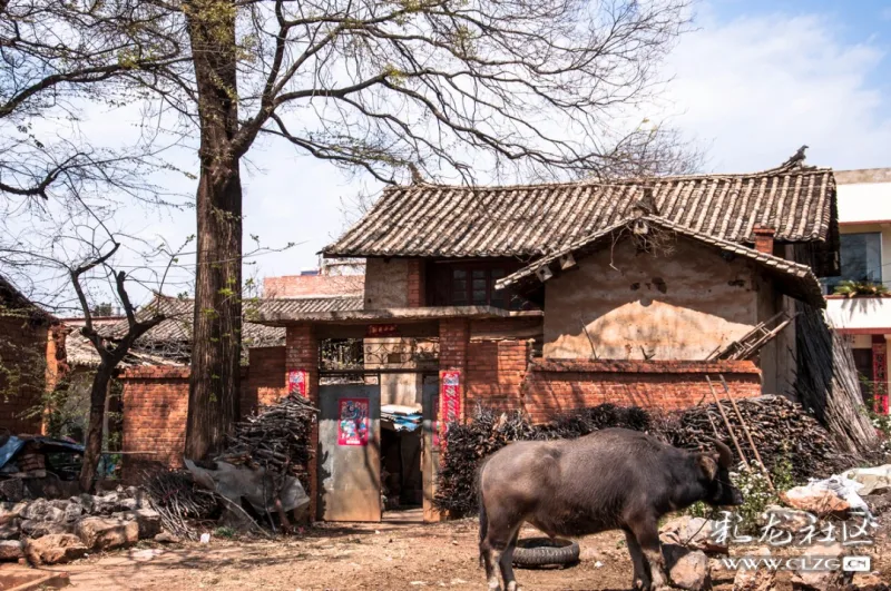 昆明呈贡吴家营万溪冲10年变迁
