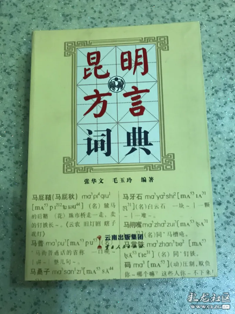 昆明方言詞典及零碎之想