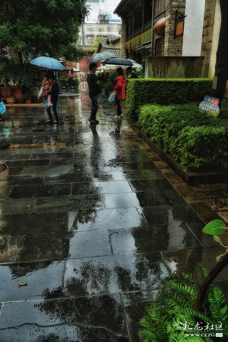 昆明雨中即景