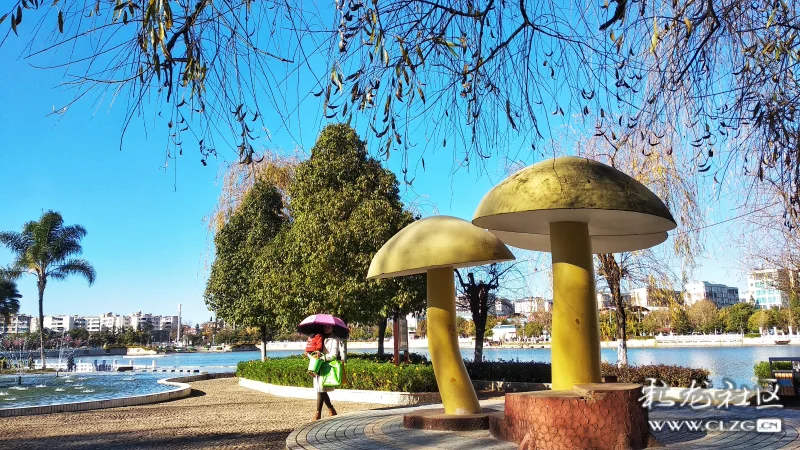 美丽的钢城公园