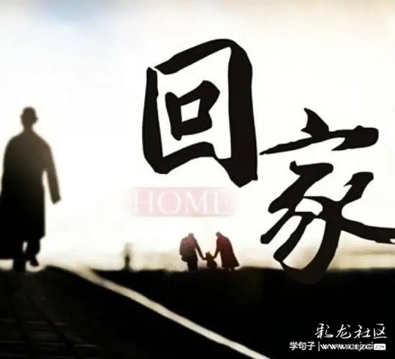 汽笛声声梦里兮,回家归心似箭.