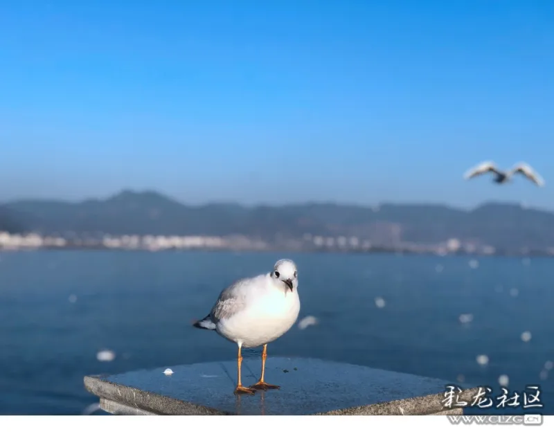 纪念第一次参加的志愿活动