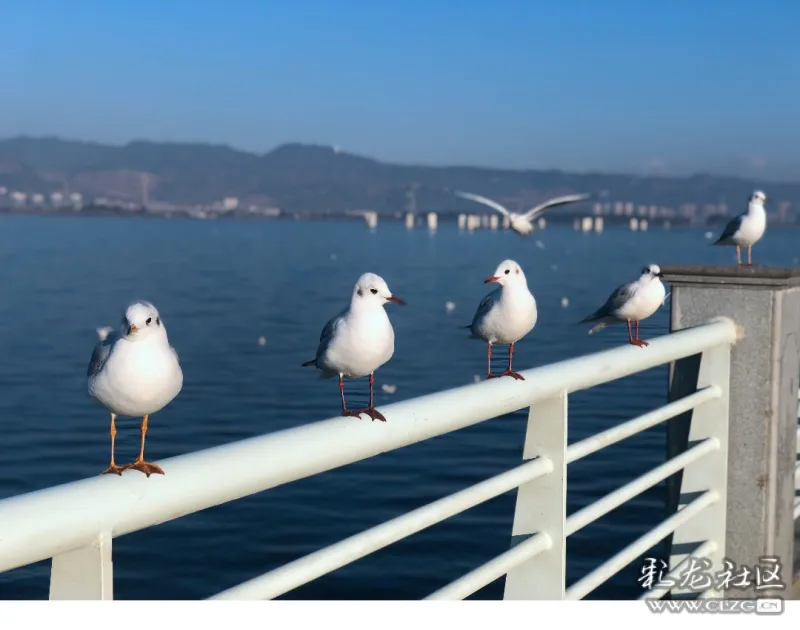 纪念第一次参加的志愿活动