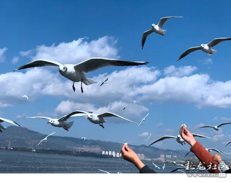 纪念第一次参加的志愿活动