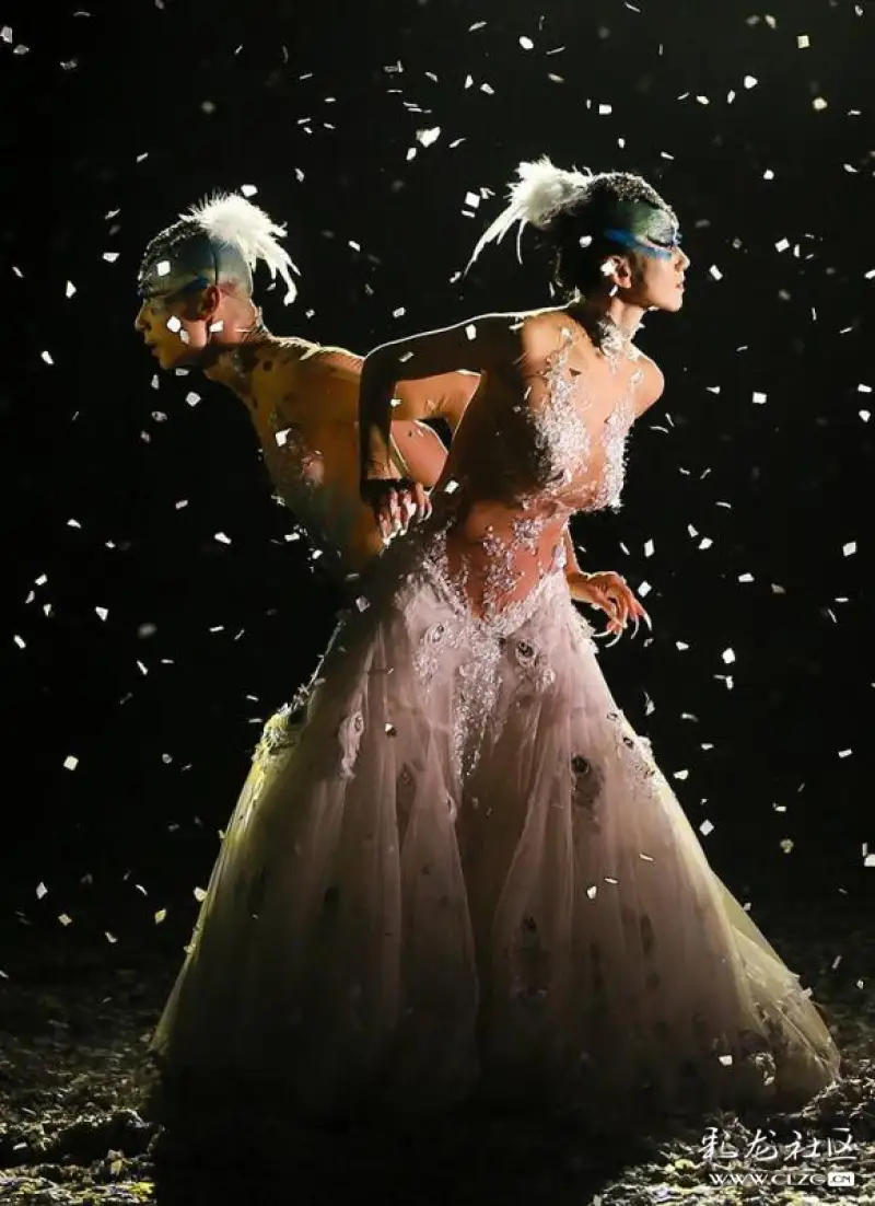 杨丽萍舞剧孔雀之冬