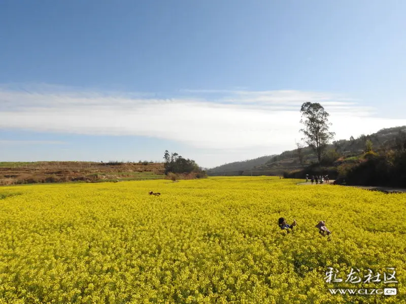 安宁县街山口村掠影