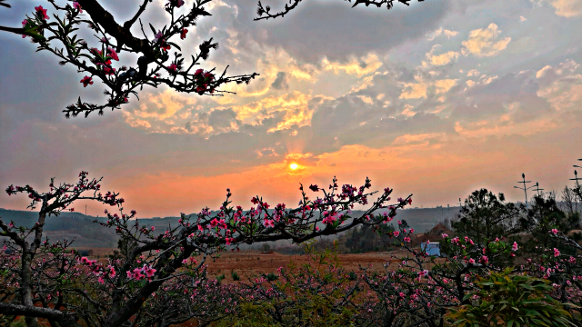 如皋桃园镇资料小妹⒚⒐⑨偎④⒊②⒎xsj_彩龙社区