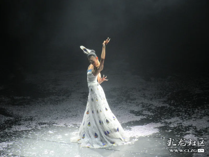 阿瑞镜头下的线小团