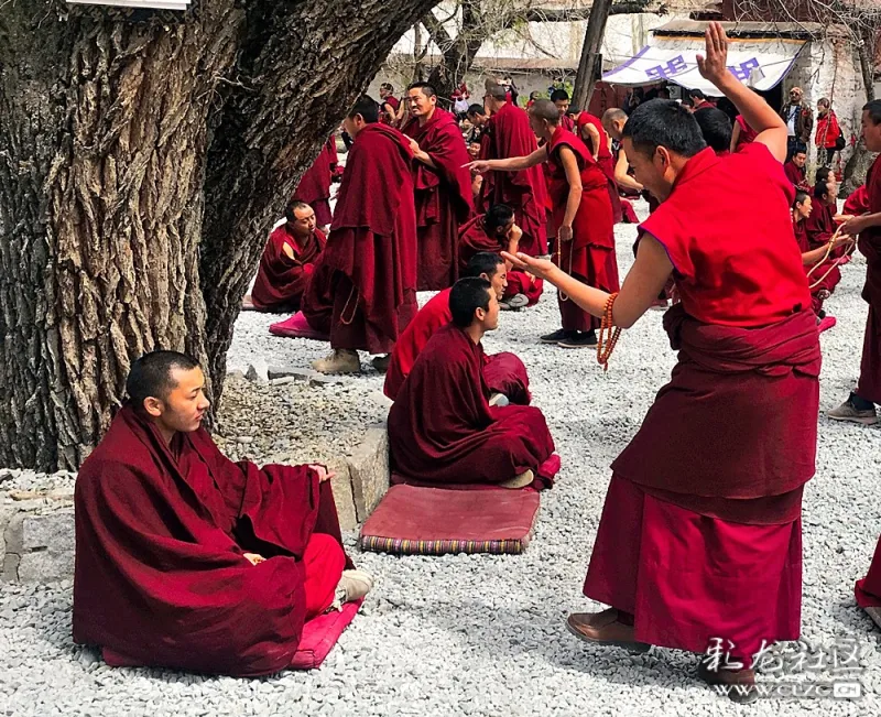 探秘西藏拉萨色拉寺里激烈的辩经场景