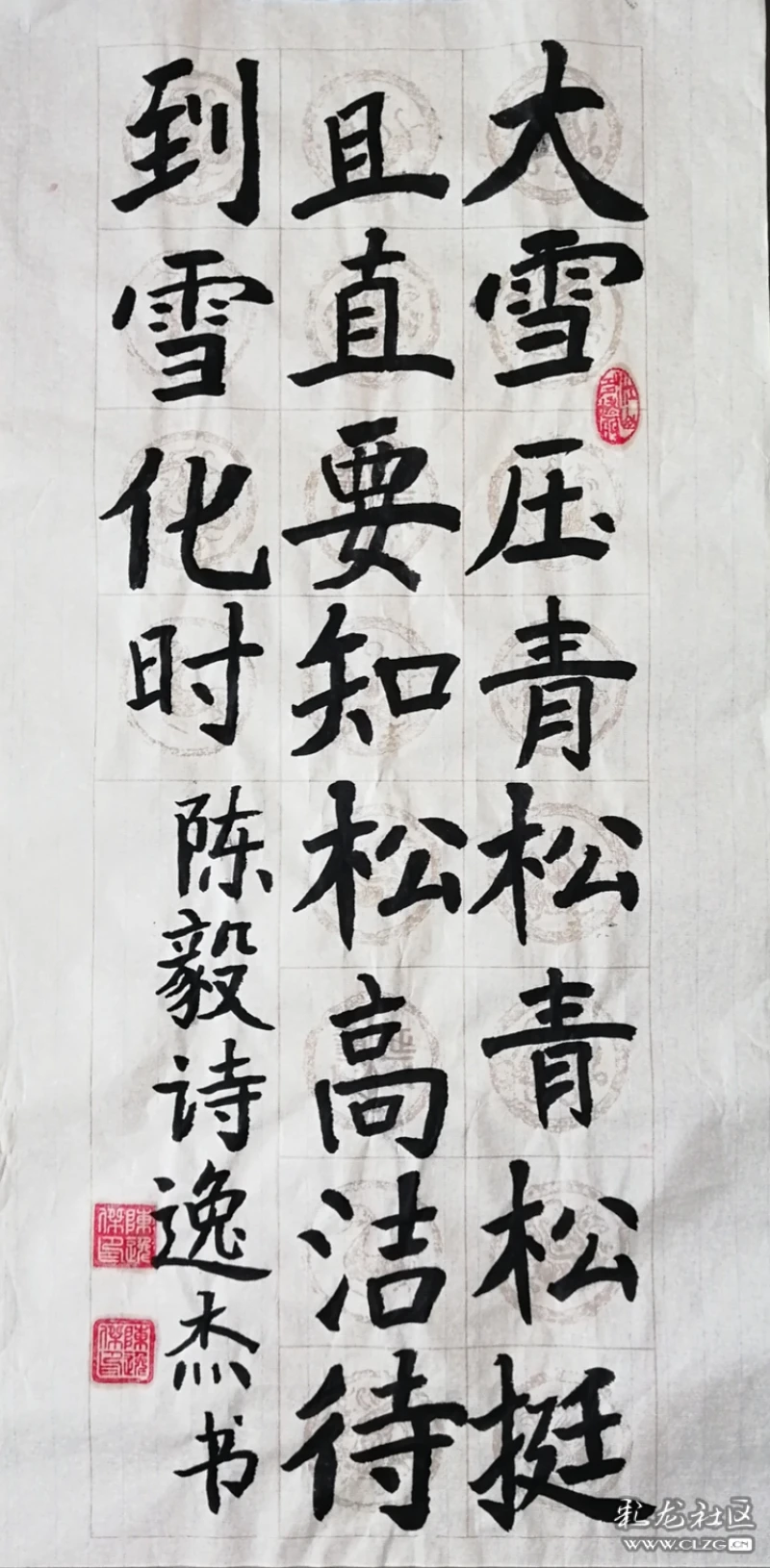 书写大赛软笔书法青松玉溪市新平县第二中学中学组陈逸杰