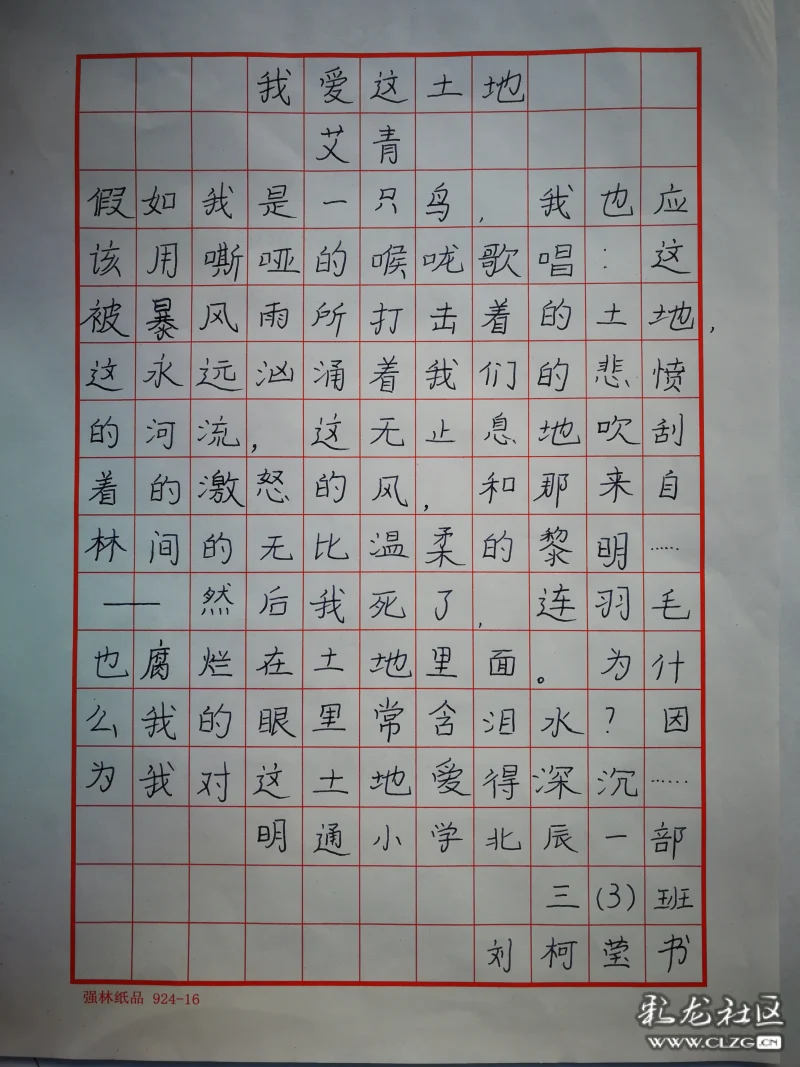 明通小学北辰一部三3班刘柯莹小学组硬笔书法我爱这土地