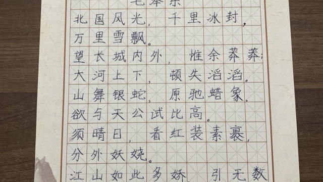 陈俊文硬笔书法作品《沁园春·雪》