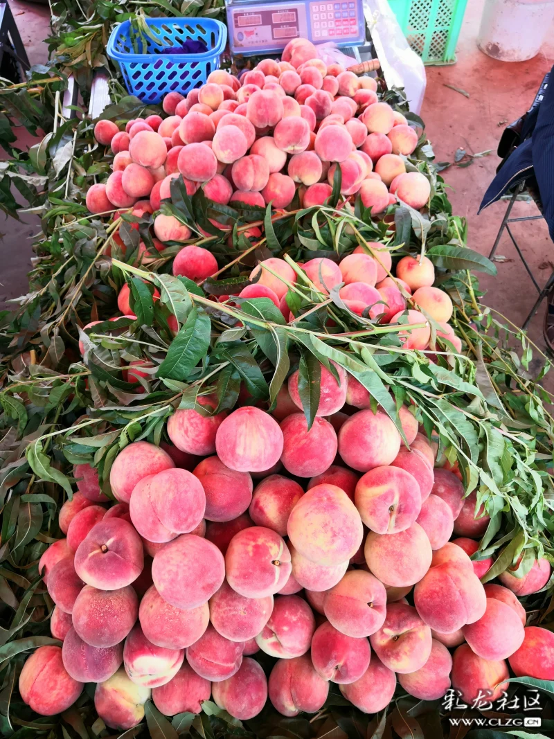 兰茂故里醉美杨林我身边的蟠桃盛会