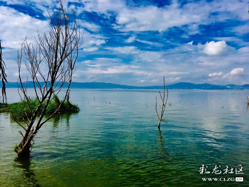 临风问天杞麓湖抚仙湖