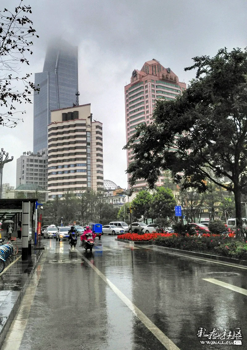 城市雨景