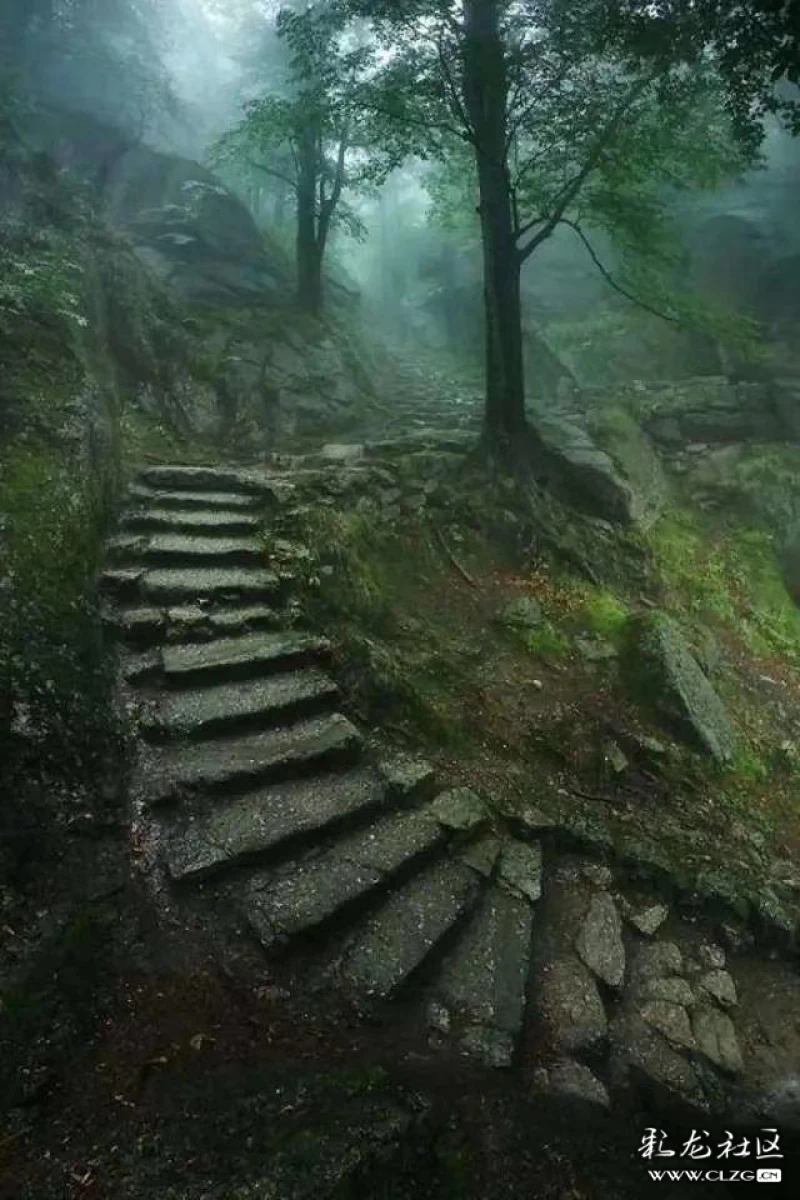 长亭外古道边芳草碧连天