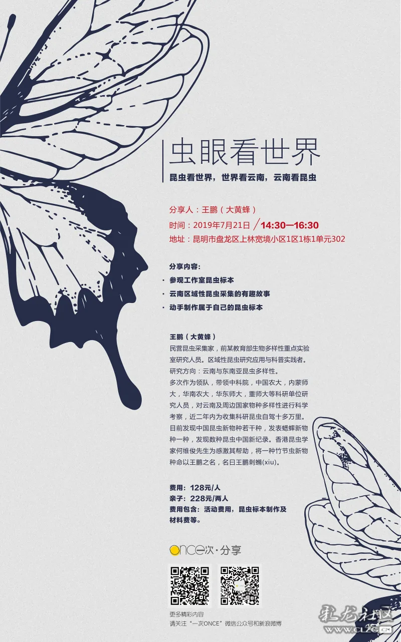 Once 分享 虫眼看世界 昆虫标本制作课程 昆虫采集的有趣故事 Once 分享 虫眼看世界 昆虫标本制作课程 昆虫采集的有趣故事