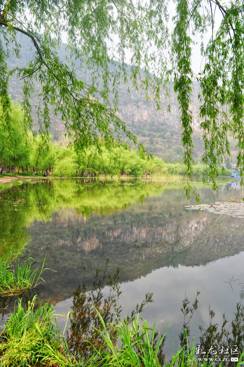 春天的滇池草海